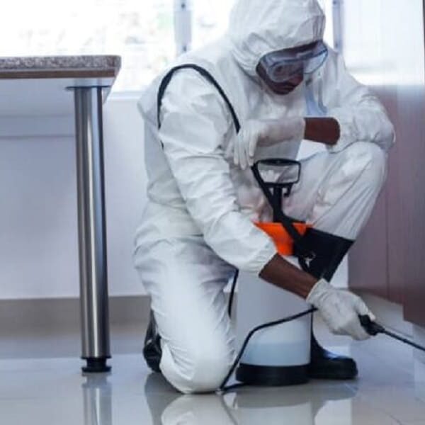 مكافحة حشرات وقوراض بقطر