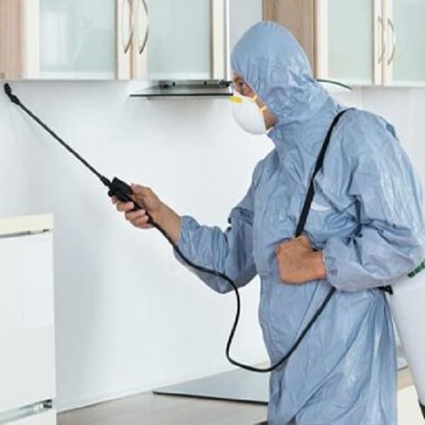 شركة مكافحة البق بقطر