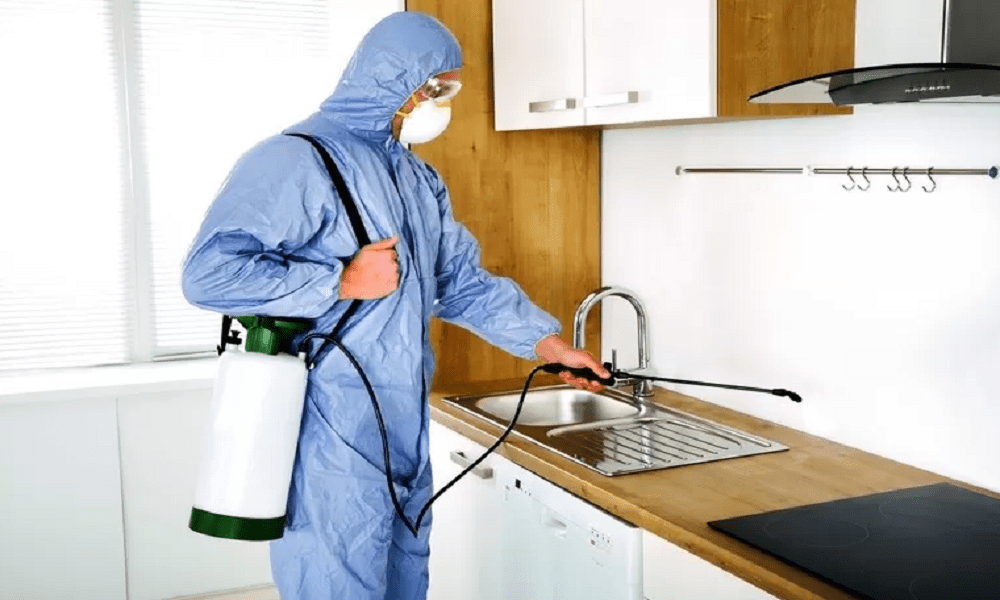 خدمات شركة مكافحة البق بقطر