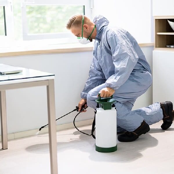 شركة القشاش شركة مكافحة الحشرات بقطر