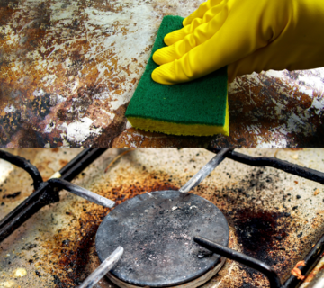 شركة إزالة الدهون